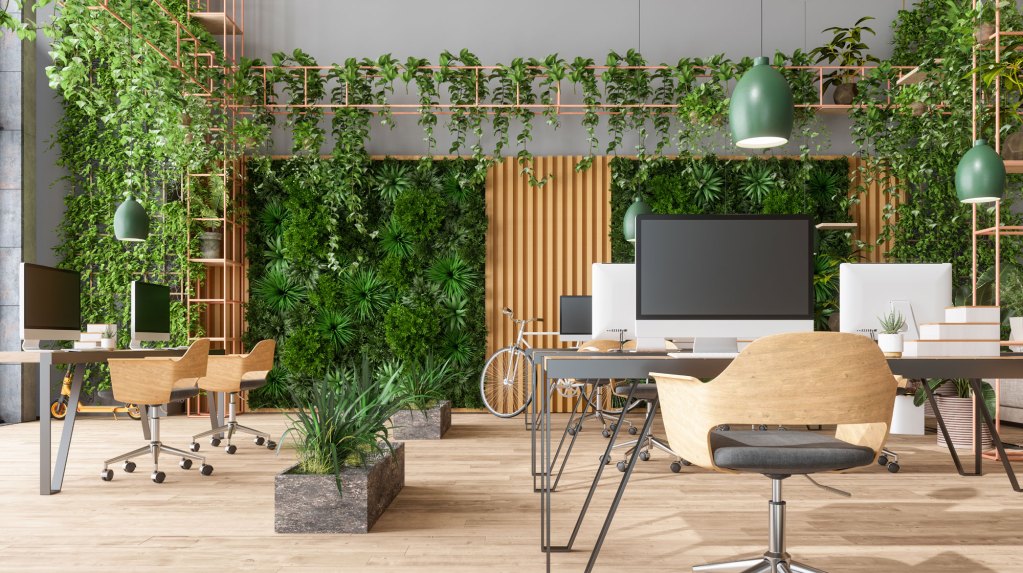 grünes Büro, viele Pflanzen